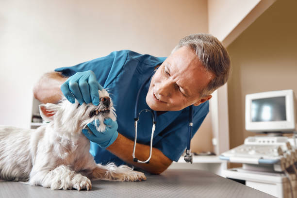 Best Pediatric Emergency Dentist in Linden, CA